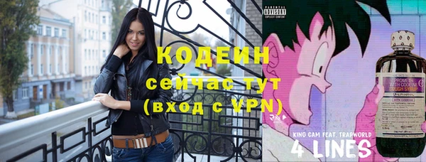 дживик Абаза