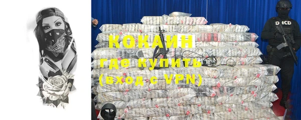 дживик Абаза