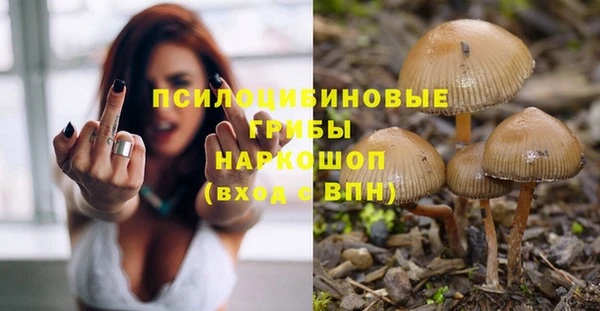 хмурый Вязьма