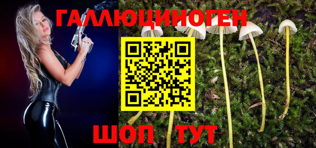 Псилоцибиновые грибы GOLDEN TEACHER Истра