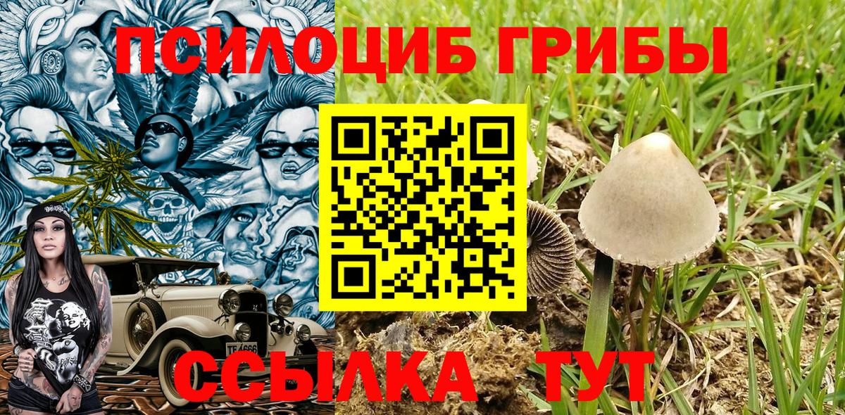 Истра  Галлюциногенные грибы ЛСД  Вход с VPN 